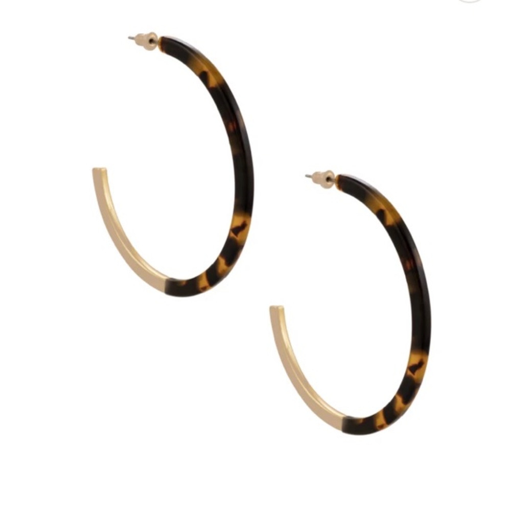 Uncommon James Franklin Tortoise Hoops